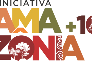 Em parceria com o BID, Iniciativa Amazônia+10 lança programa de residência na Amazônia Legal