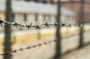 Estarrecedor: grupo de Mauro Cid planejava criar campo de prisioneiros nos moldes de Auschwitz