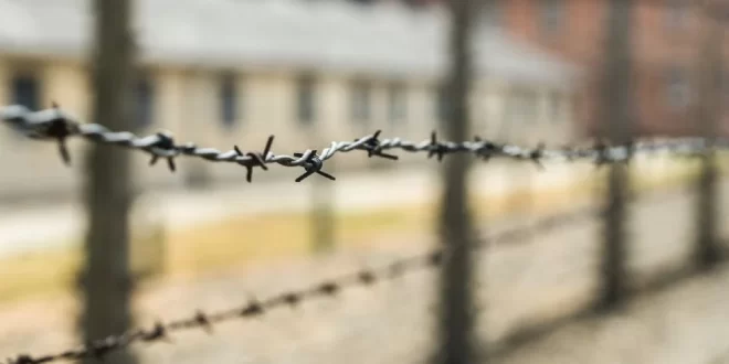 Estarrecedor: grupo de Mauro Cid planejava criar campo de prisioneiros nos moldes de Auschwitz