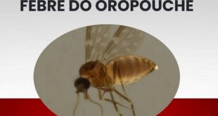 Acre registrou 436 casos Febre Oropouche entre 2023 e 2024