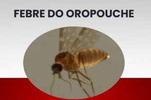 Acre registrou 436 casos Febre Oropouche entre 2023 e 2024