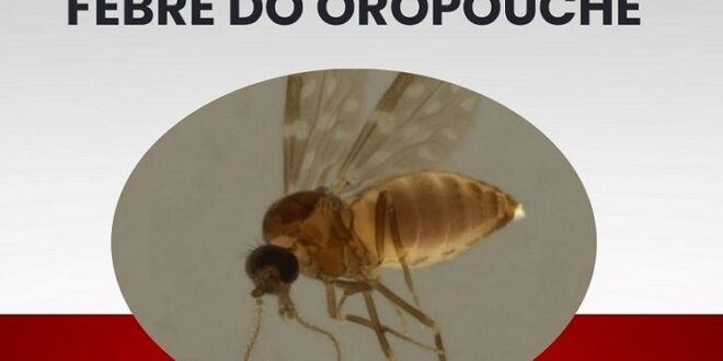 Acre registrou 436 casos Febre Oropouche entre 2023 e 2024