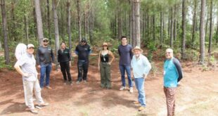 Governo do Acre realiza visita técnica para troca de informações sobre políticas de restauração e reposição florestal em RO