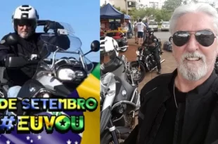Militar bolsonarista mata cão do vizinho com tiros de rifle: "atrapalhava o sossego"