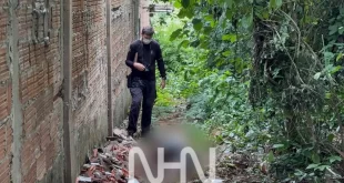 Corpo de homem em elevado estado de decomposição é encontrado em área de mata