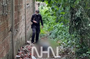 Corpo de homem em elevado estado de decomposição é encontrado em área de mata