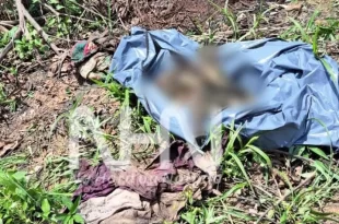 Ossada humana é encontrada enrolada em lençol em área de mata na Cidade do Povo