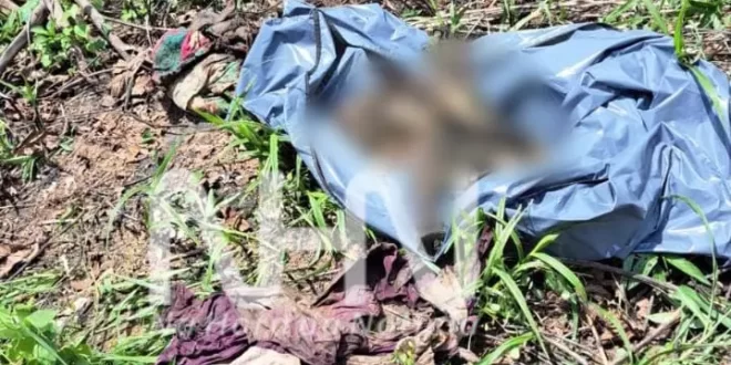 Ossada humana é encontrada enrolada em lençol em área de mata na Cidade do Povo