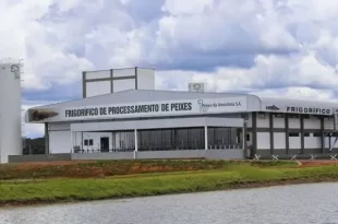Justiça decreta falência da empresa Peixes da Amazônia S/A e ordena que estabelecimento seja lacrado