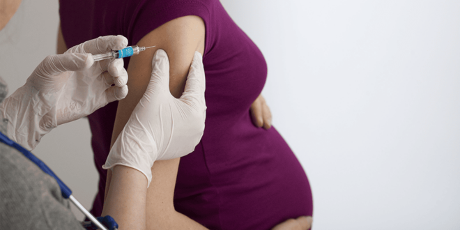 Acre registra a maior cobertura vacinal na série histórica entre gestantes contra coqueluche