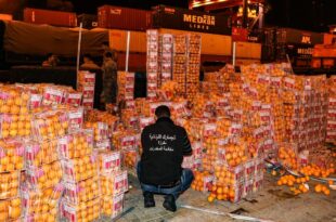 Queda de Assad na Síria revela império do captagon, a 'cocaína dos pobres'
