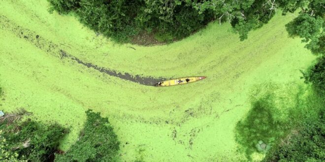 Estudo levanta perfil do turista que visita o Acre