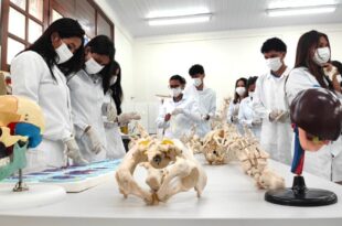 Ieptec encerra 2024 com um aumento de 248% no número de alunos em sala de aula