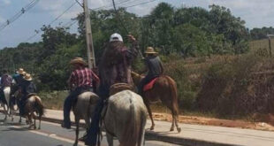 MPAC ajuíza ação civil pública por maus-tratos a animais na Cavalgada da Expoacre Juruá 2024
