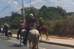 MPAC ajuíza ação civil pública por maus-tratos a animais na Cavalgada da Expoacre Juruá 2024