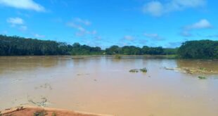 Chuva de 95 mm eleva nível do rio Acre em Assis Brasil