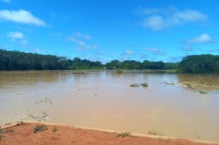 Chuva de 95 mm eleva nível do rio Acre em Assis Brasil