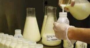 Fábrica adulterava leite com soda cáustica e água oxigenada
