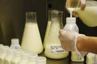 Fábrica adulterava leite com soda cáustica e água oxigenada