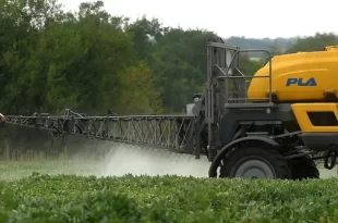 Agrotóxicos: ‘todos os rios do Brasil estão contaminados’, alerta pesquisador