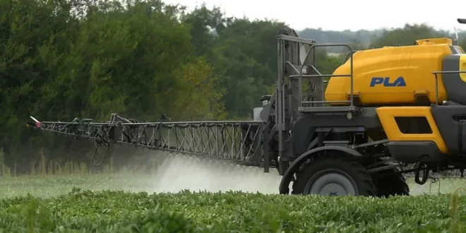 Agrotóxicos: ‘todos os rios do Brasil estão contaminados’, alerta pesquisador