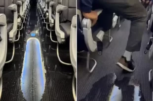 Passageiros são surpreendidos com “inundação” em voo da American Airlines
