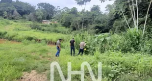 Corpo carbonizado é encontrado em área de mata