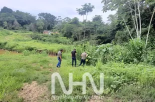 Corpo carbonizado é encontrado em área de mata