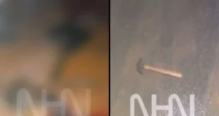 Homem é encontrado morto com marcas de golpes de martelo na cabeça