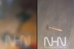 Homem é encontrado morto com marcas de golpes de martelo na cabeça