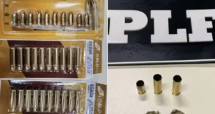 Depois do homem bomba: homem tenta entrar na Câmara com munição de arma de fogo e é preso