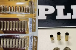 Depois do homem bomba: homem tenta entrar na Câmara com munição de arma de fogo e é preso