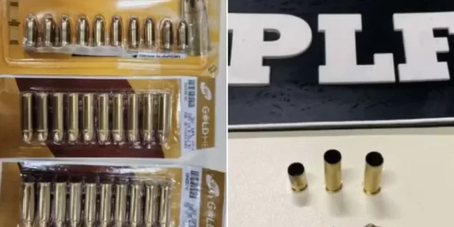 Depois do homem bomba: homem tenta entrar na Câmara com munição de arma de fogo e é preso