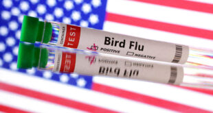 Confirmado primeiro caso grave de gripe aviária nos Estados Unidos
