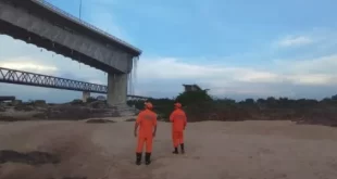 Agrotóxicos no rio Tocantins: 9 toneladas de 2,4-D, componente do 'agente laranja' usado na guerra do Vietnã, foram derramadas com queda de ponte