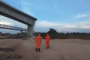 Agrotóxicos no rio Tocantins: 9 toneladas de 2,4-D, componente do 'agente laranja' usado na guerra do Vietnã, foram derramadas com queda de ponte