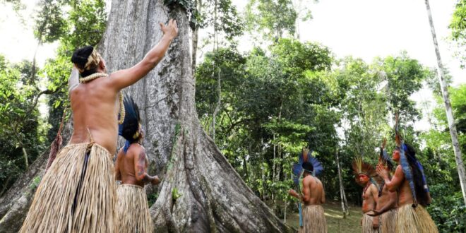 Acre ocupa 8º lugar no ranking de estados que associam crescimento econômico a sustentabilidade