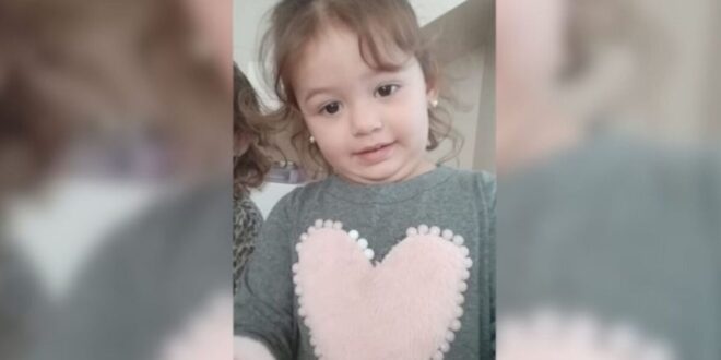 Mulher usou brinquedo para induzir enteada de 3 anos a se afogar em lavadora