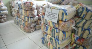 Assistência Social do Estado entrega cestas básicas para associações de pessoas com deficiência