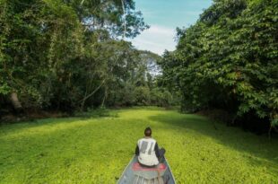 Projetos do Acre são publicados em guia de investimentos da ONU Turismo, em Madri