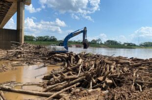 Deracre, Dnit e Corpo de Bombeiros removem balseiros da Ponte da União, no Rio Juruá