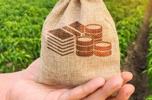 Estado divulga novas alterações em programa de incentivo tributário para empresas do setor produtivo