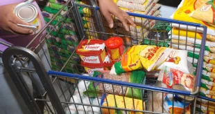 Preço da cesta básica em Rio Branco registra aumento de quase R$ 15