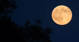 Notícia interplanetária: ONG inclui a Lua na lista de locais ameaçados por riscos da corrida espacial