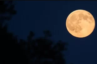 Notícia interplanetária: ONG inclui a Lua na lista de locais ameaçados por riscos da corrida espacial