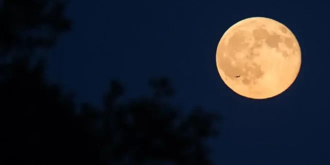 Notícia interplanetária: ONG inclui a Lua na lista de locais ameaçados por riscos da corrida espacial