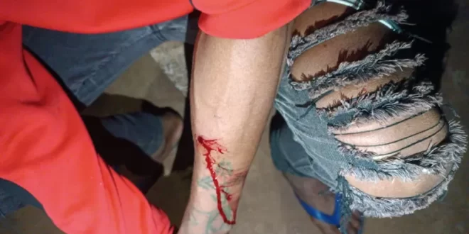 Ava guaranis de TI demarcada pela Funai no PR continuam sob ataque; 4 são baleados