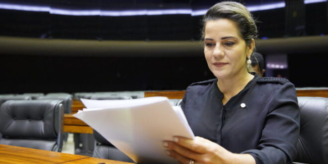 Mara Rocha reage contra político que quer se apropriar da "paternidade" de obra da ponte de Brasileia/Epitaciolândia
