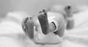Criança que nascer em 2025 deve viver mais, ter menos irmãos e encontrar mais idosos