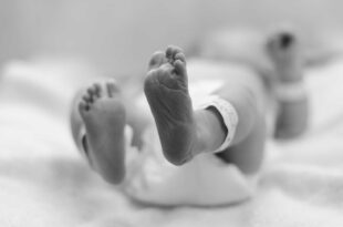Criança que nascer em 2025 deve viver mais, ter menos irmãos e encontrar mais idosos